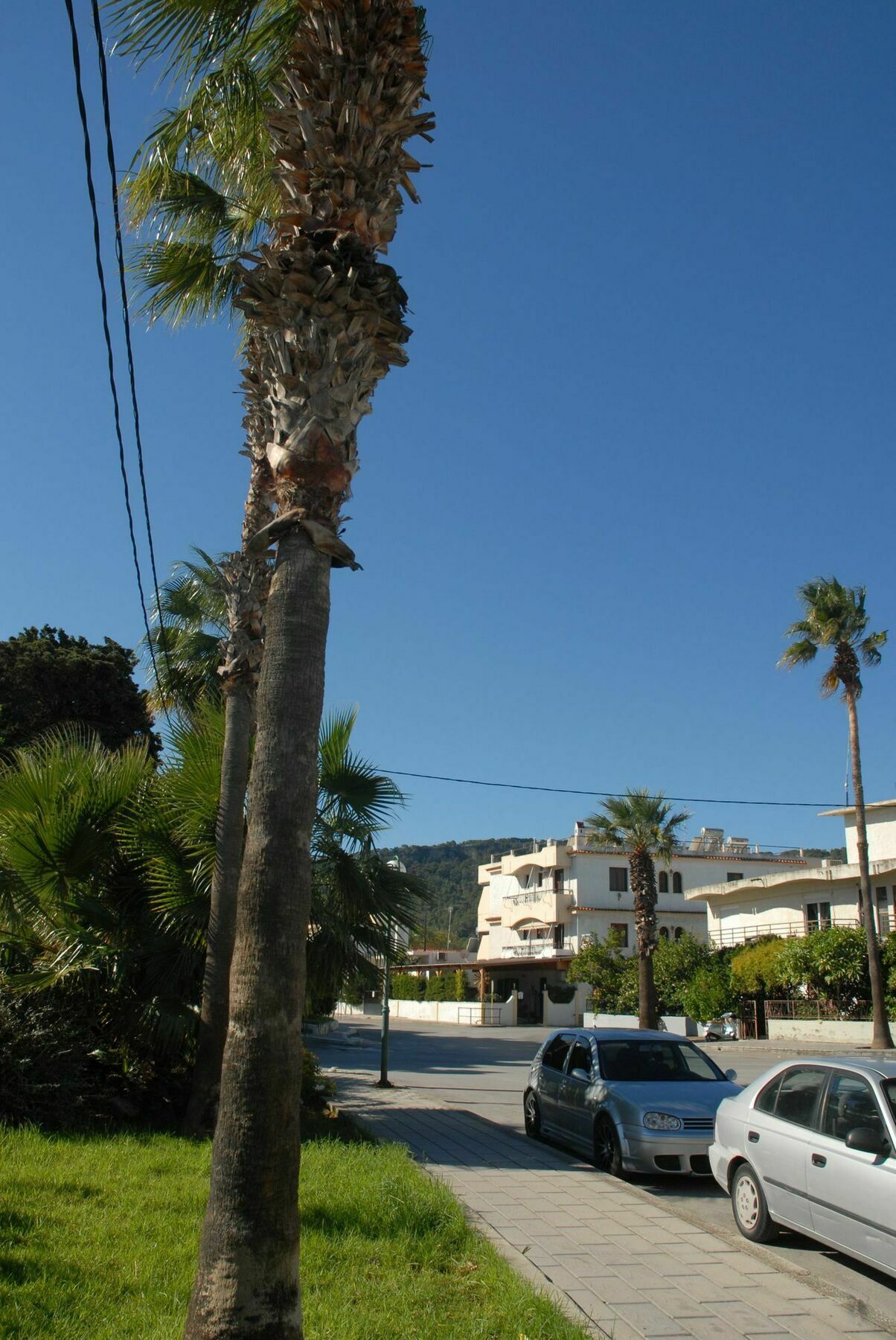 Takis Hotel Apartments Ialysos  Luaran gambar